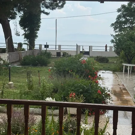 Denize Sifir Apartament