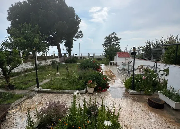 Denize Sifir * Özdere